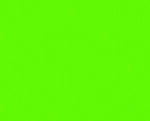 20x20' Greenscreen Chroma Key